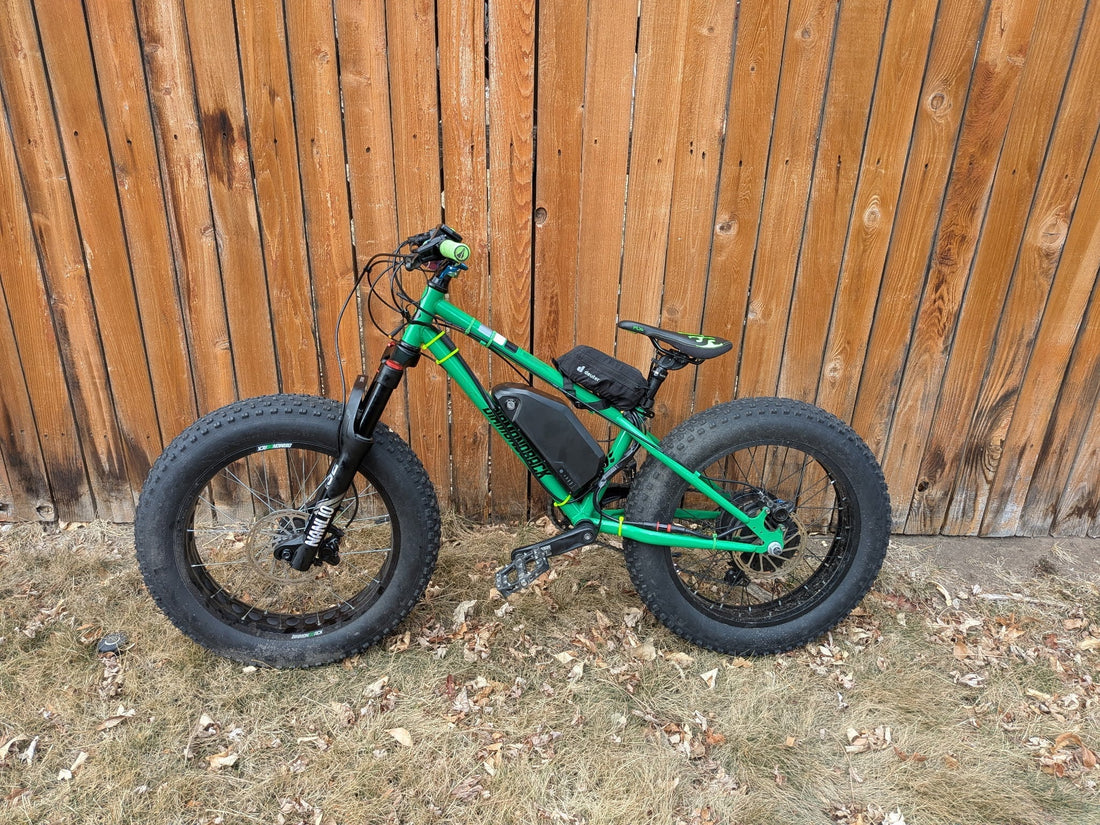 Custom Build: Kids Fat Ebike