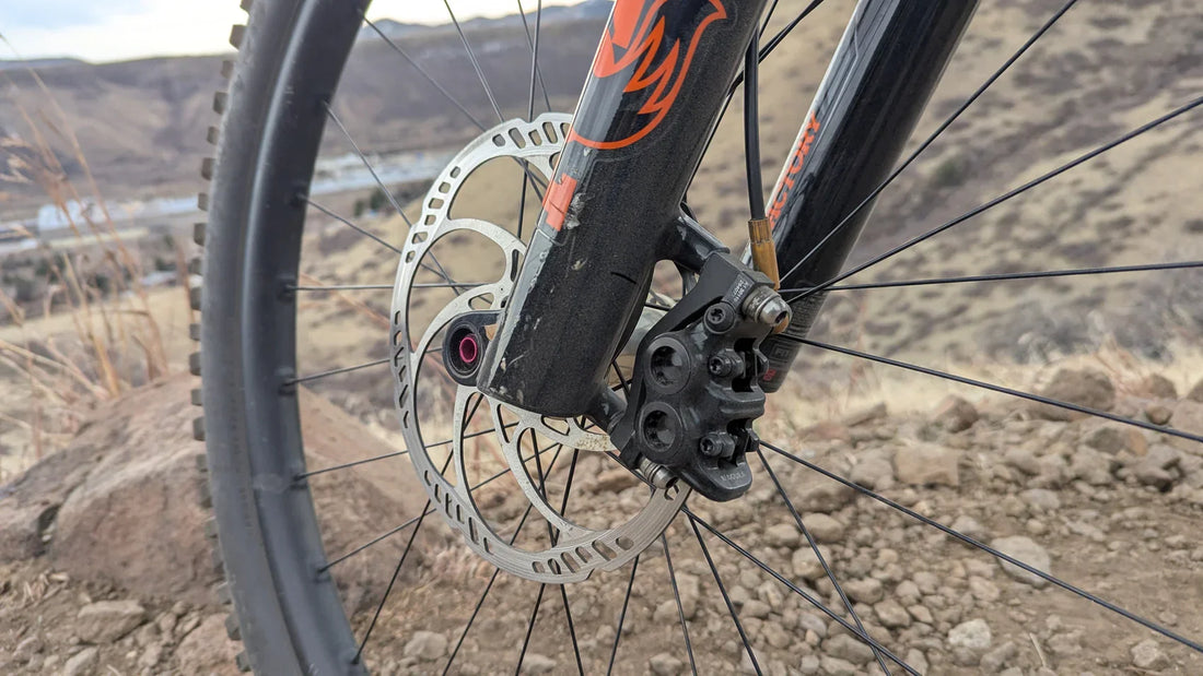 Shigura ftw