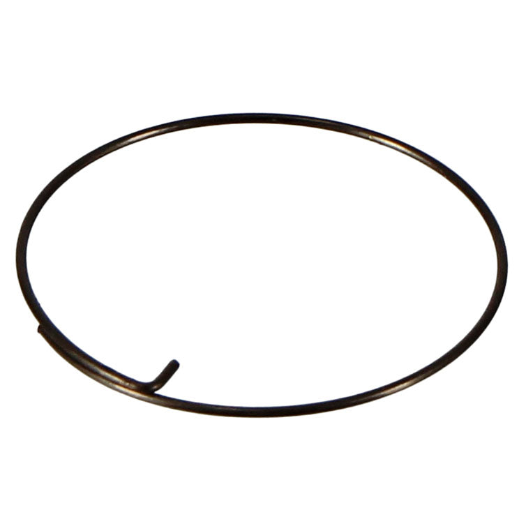 Bitex Pawl Spring Kits