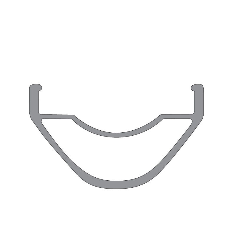 DT Swiss XM 481 29" Rim