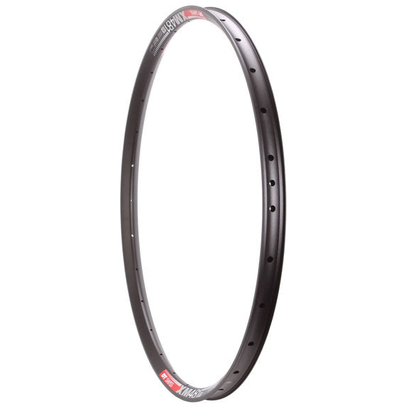 DT Swiss XM 481 29" Rim