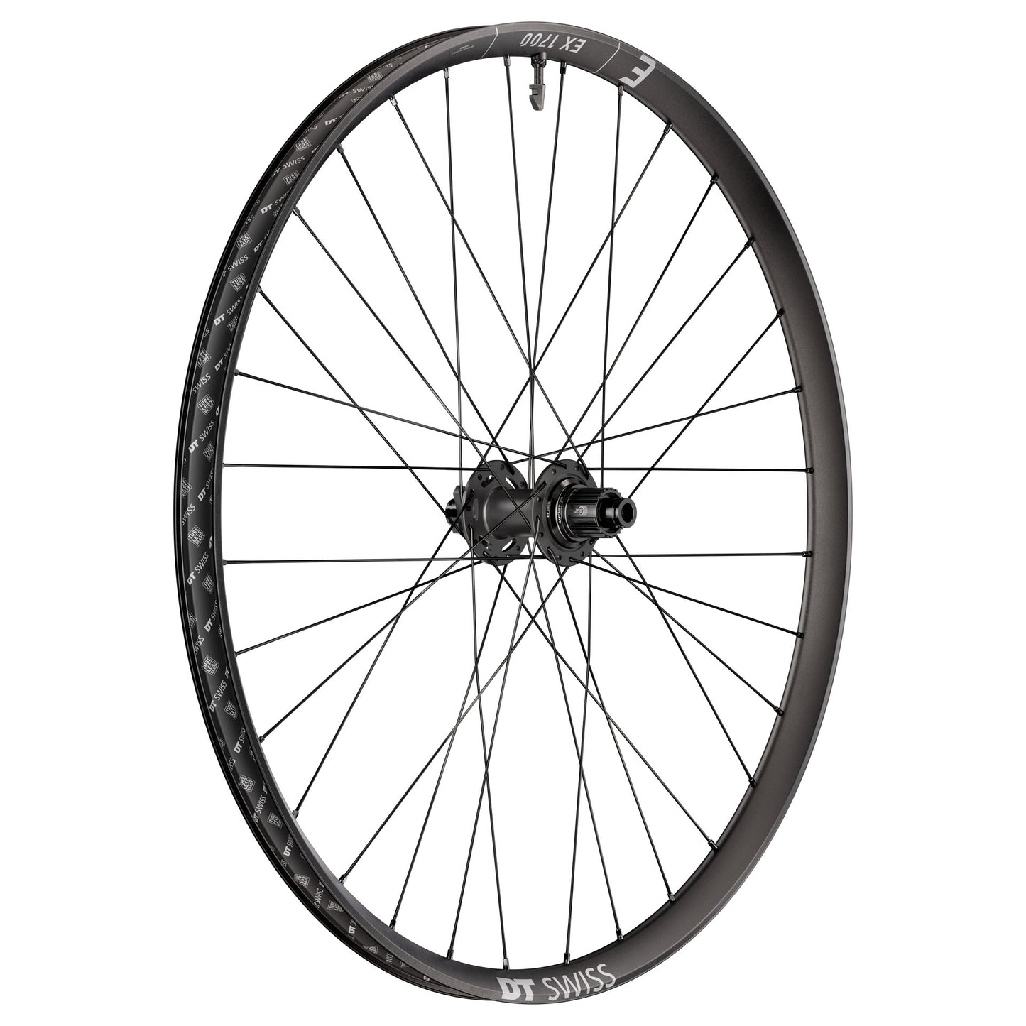DT Swiss EX 1700 Classic 29" Wheels