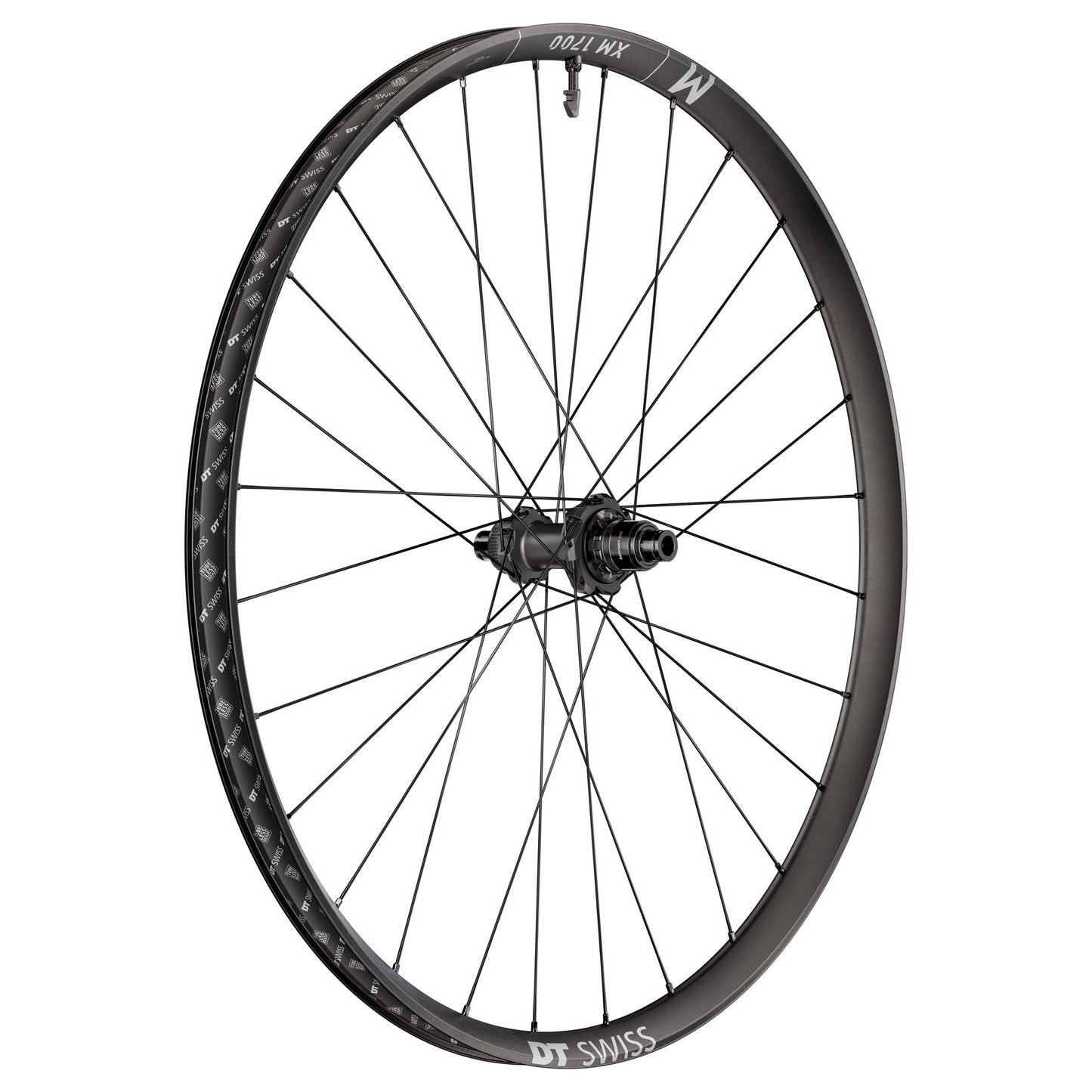 DT Swiss XM 1700 Spline 29" Wheels