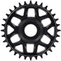 E*thirteen Helix Race e*spec E-Bike Chainrings