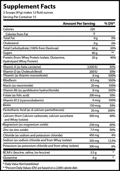 1st Endurance Ultragen Recovery Drink Mix