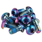 SRAM/Avid Rotor Mounting Bolts