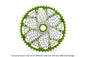 11-speed cassette (Shimano-standard freehub)