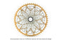 12-speed GEN2.0 Gravel cassette (SRAM XD/XDR freehub)
