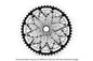 12-speed MTB cassette (SRAM XD Freehub)