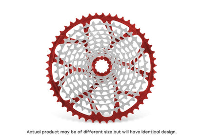 11-speed cassette (Shimano-standard freehub)