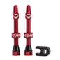 CushCore Valve Set