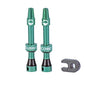 CushCore Valve Set