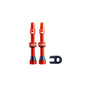 CushCore Valve Set