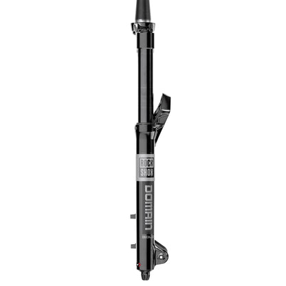 RockShox Domain RC3 Air 29" Fork