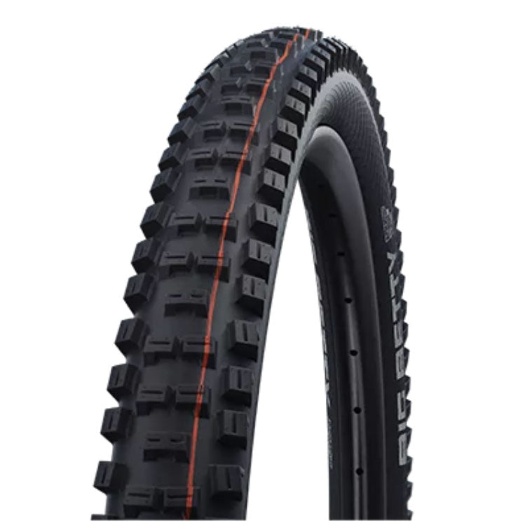 Schwalbe Big Betty 29" Tire